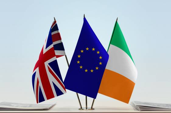 Lunch Bites @ the IoD Webinar: Brexit and Beyond for Ireland and the EU