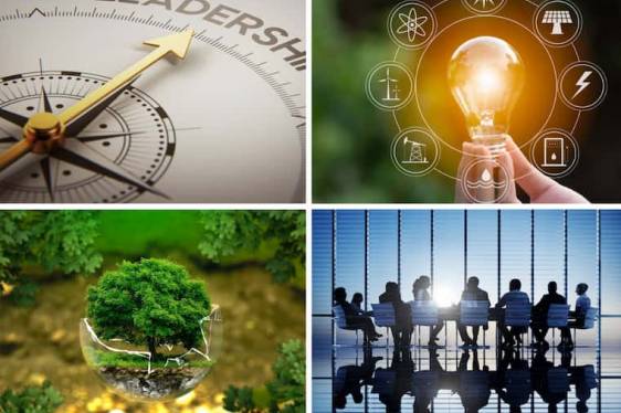 Leading Sustainability: What Directors Need to Know and How to Do It