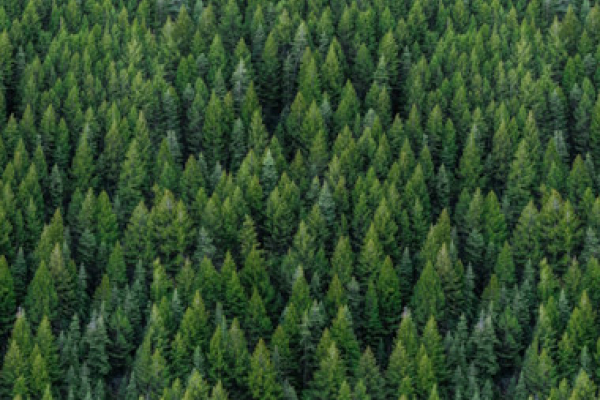 ESG Fundamentals for Directors