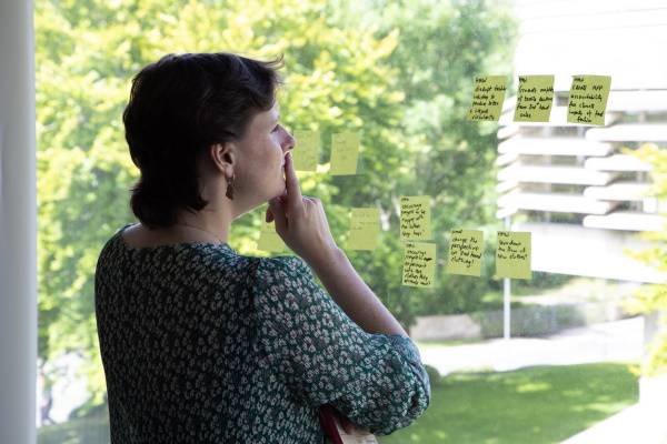 Strategy for Experienced Directors