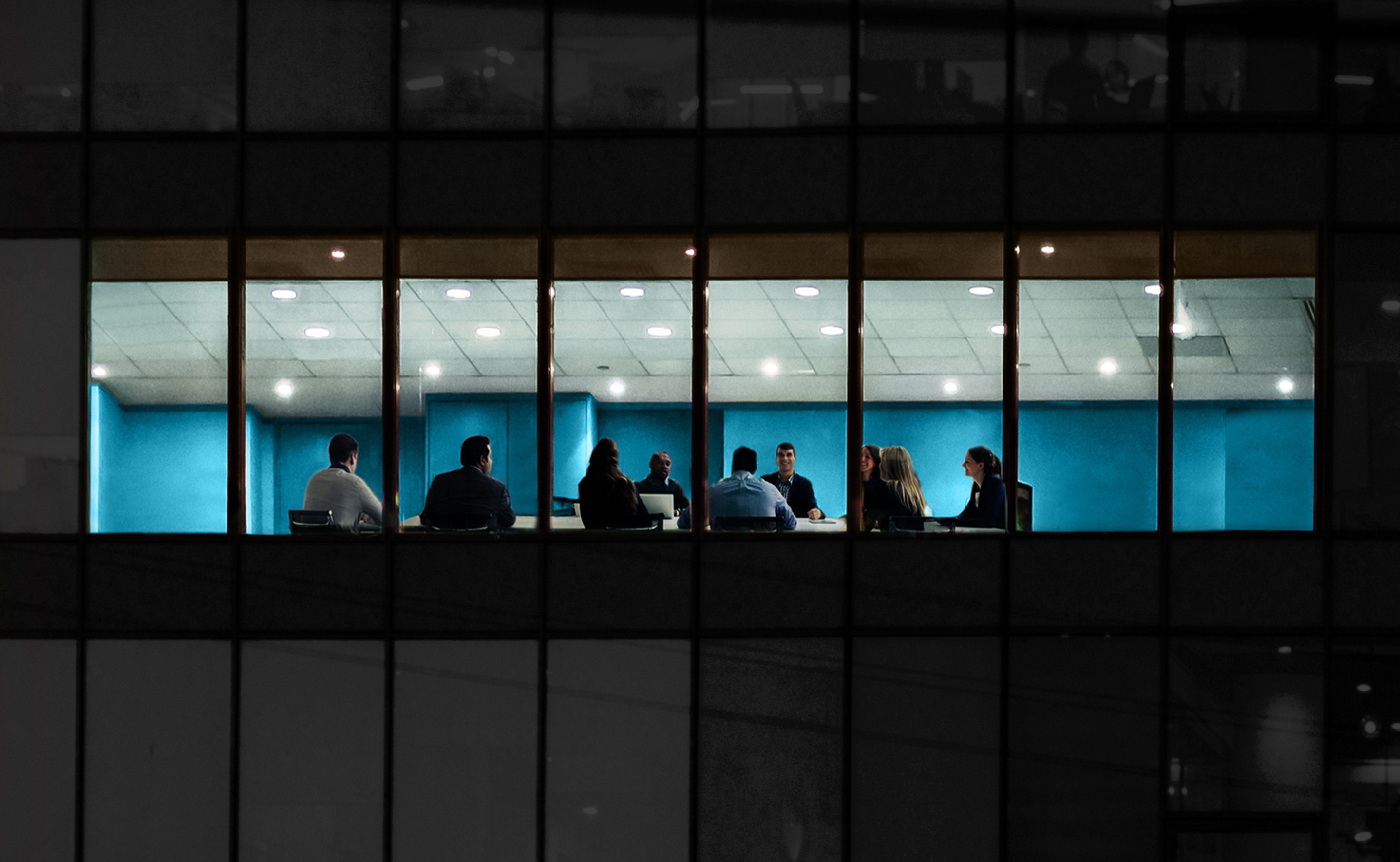 Chartered Director Programme