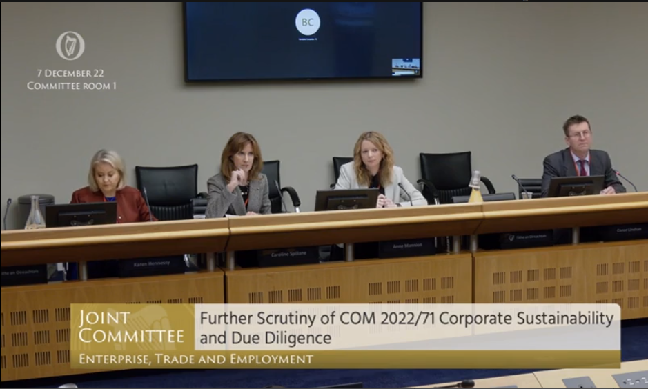 IoD ESG Presentation to Joint Committee on Enterprise, Trade and Employment debate on CSDDD