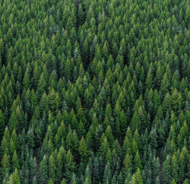 ESG Fundamentals for Directors