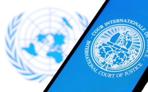 A Landmark Ruling from the International Court of Justice on Climate Litigation