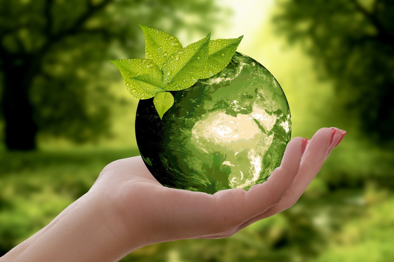 Sustainability for Corporates: Letting the Green Light Shine